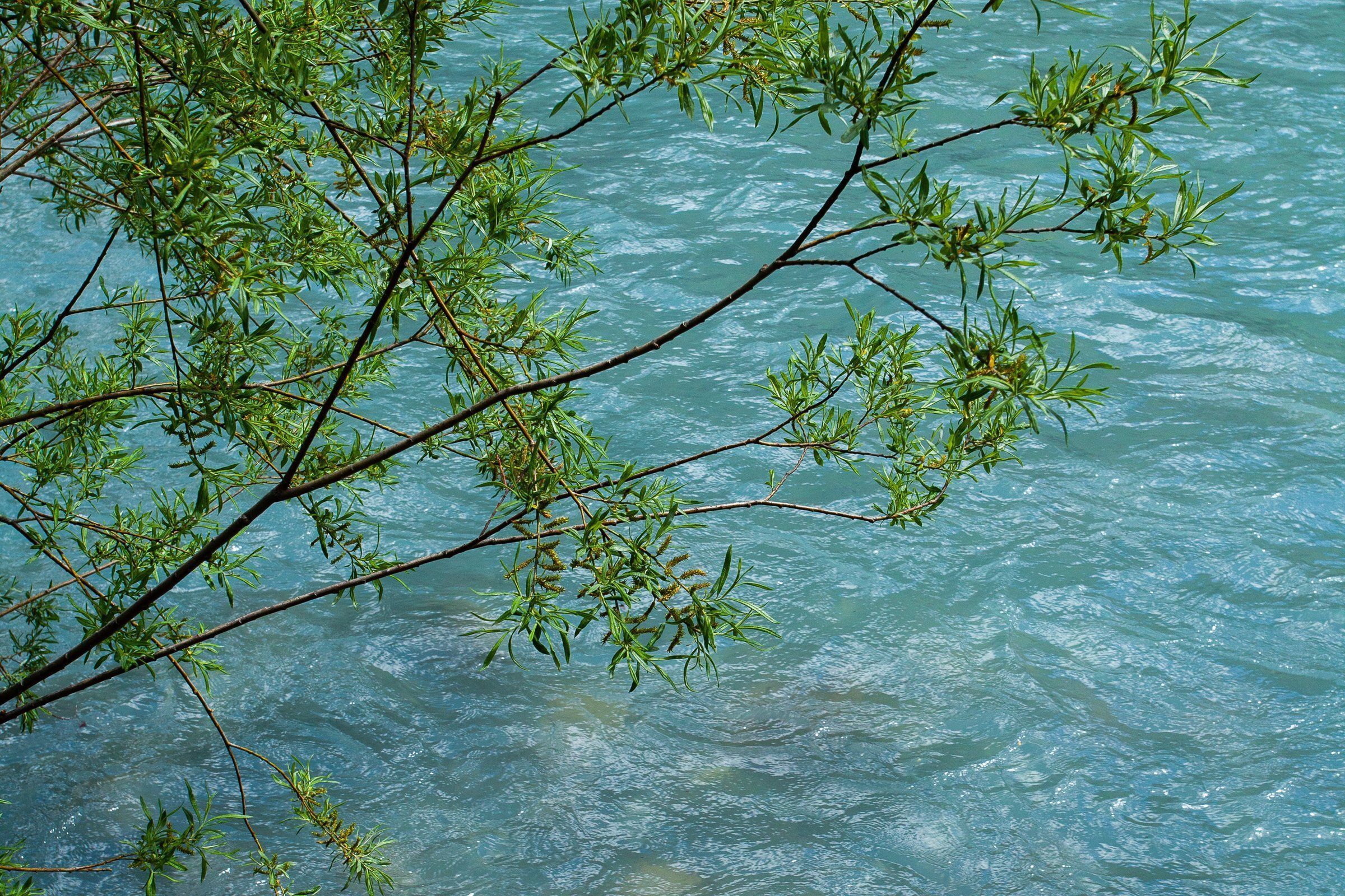 Aromastick CALM - Imagen 2