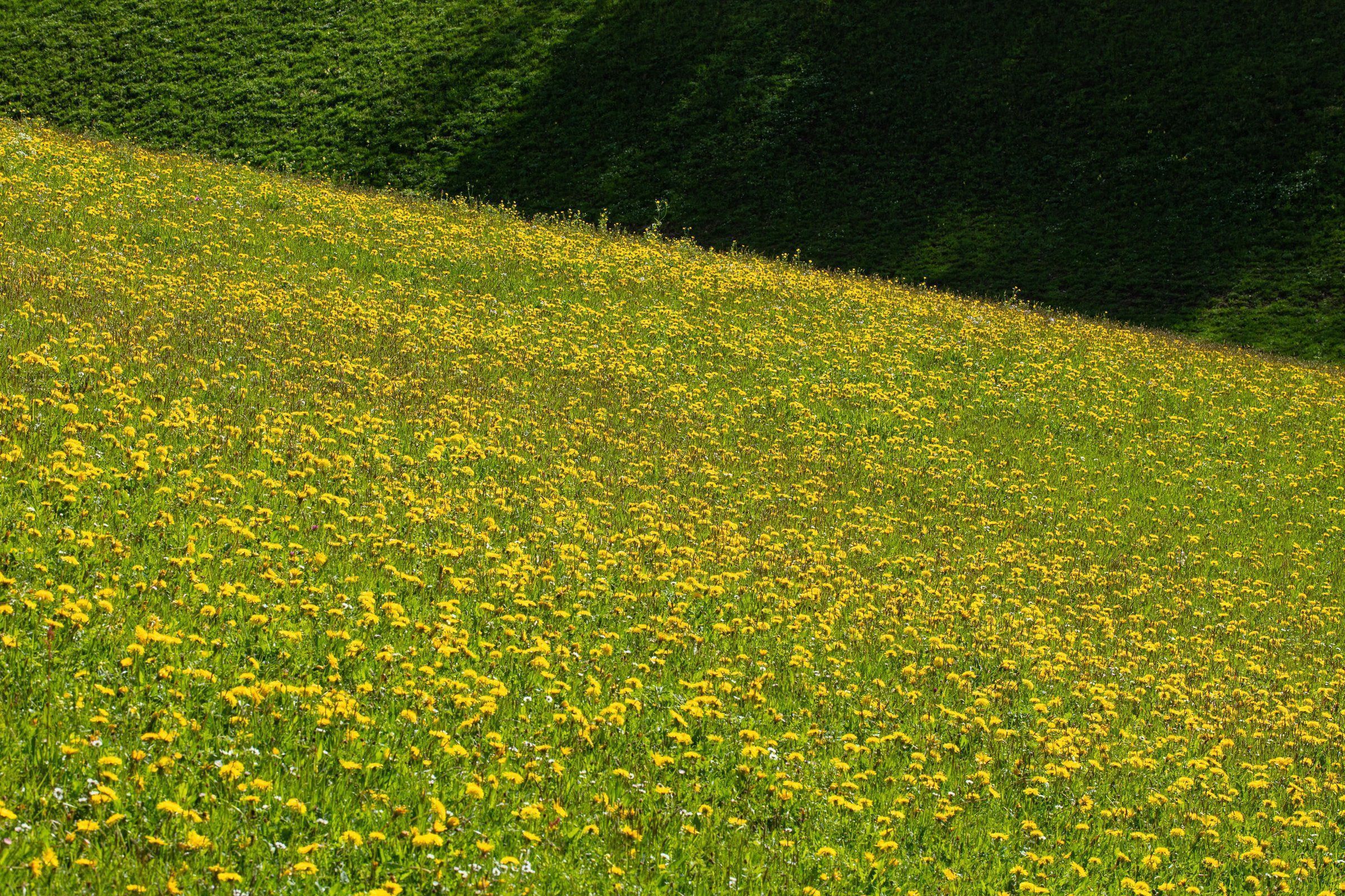 Aromastick VITA - Imagen 3